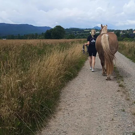 Polne Marzenie * Radkow