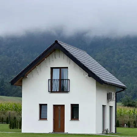 Polne Marzenie * Radkow