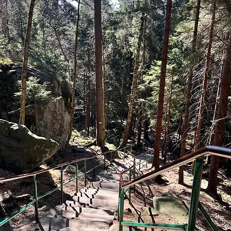 Polne Marzenie * Radków