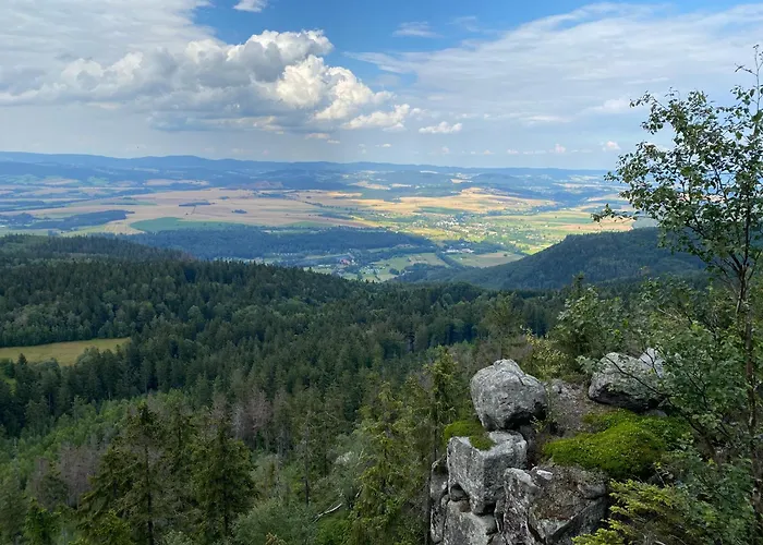 Polne Marzenie 别墅 拉德库夫