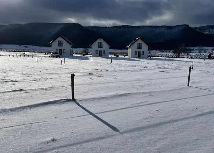 Polne Marzenie Radkow