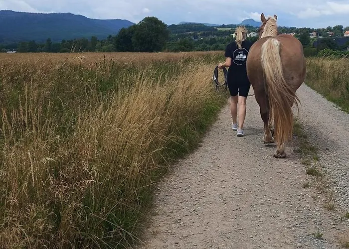 Polne Marzenie * Radkow